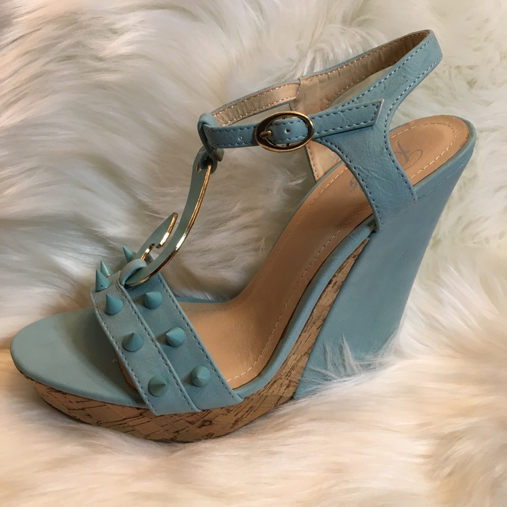 New Teal Rosette Hook Wedges